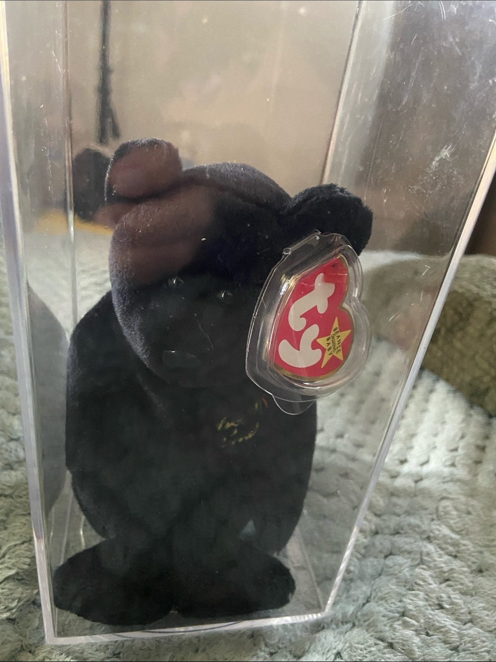 Ty Black Bear Beanie Baby Plush with Heart Tag
